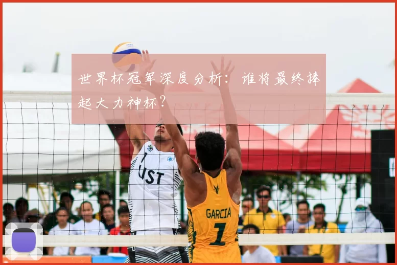 世界杯冠军深度分析：谁将最终捧起大力神杯？