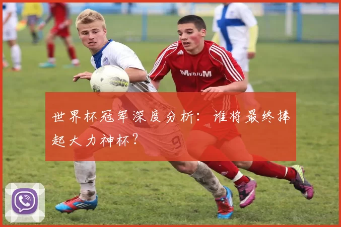 世界杯冠军深度分析：谁将最终捧起大力神杯？