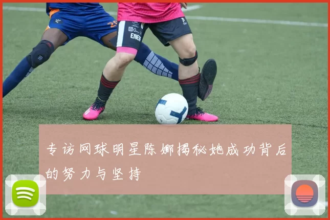 专访网球明星陈娜揭秘她成功背后的努力与坚持