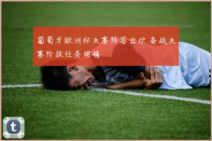 葡萄牙欧洲杯决赛阵容出炉 备战决赛阶段任务明确