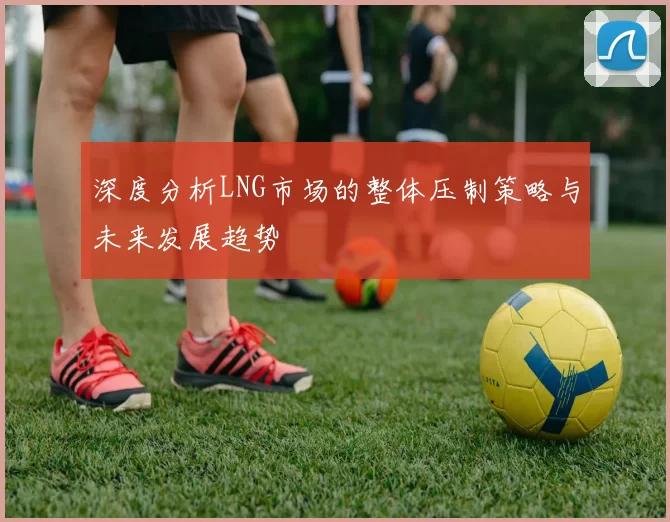 深度分析LNG市场的整体压制策略与未来发展趋势