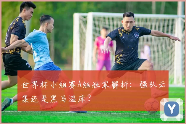 世界杯小组赛A组独家解析:强队云集还是黑马温床?