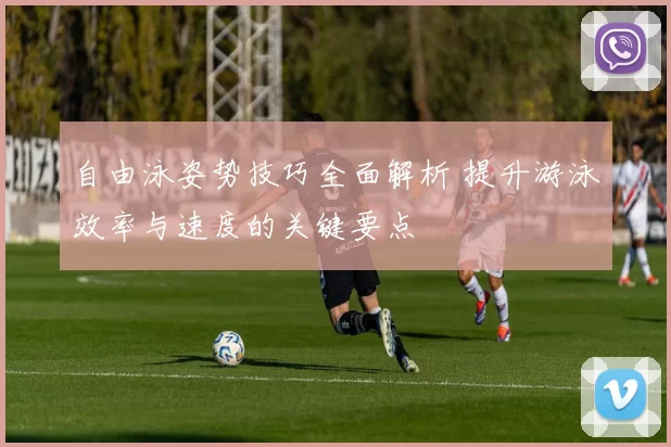 自由泳姿势技巧全面解析 提升游泳效率与速度的关键要点