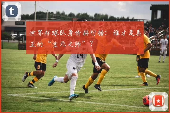 世界杯球队身价排行榜:谁才是真正的“金元之师”?