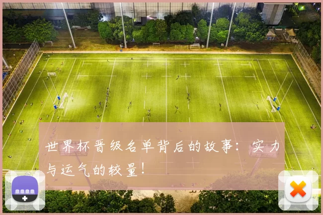 世界杯晋级名单背后的故事：实力与运气的较量！